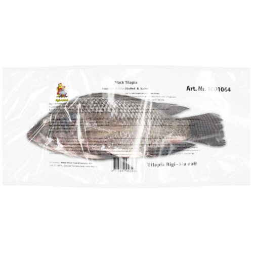 Tilapia Fish