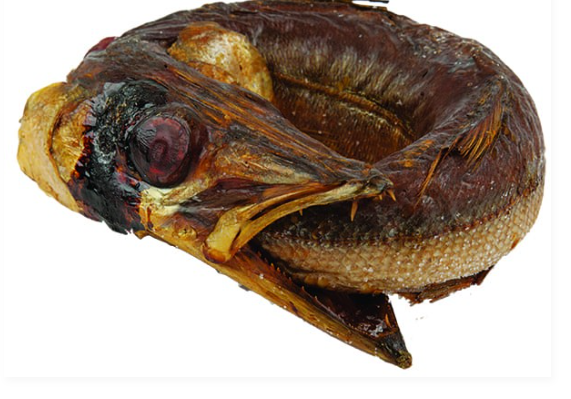 Baracuda Ring Smoked 1 kg.